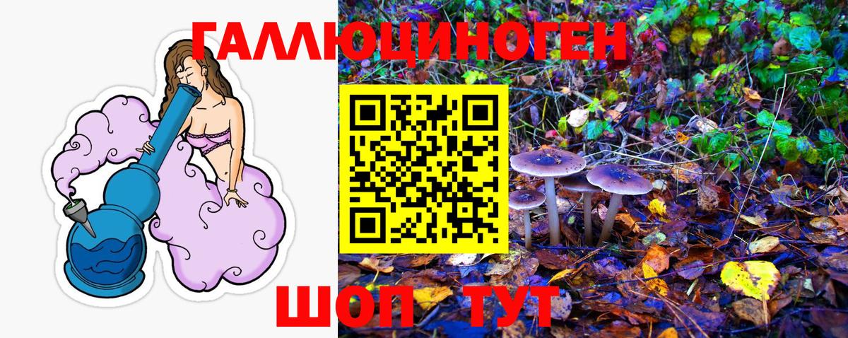 Кандалакша  наркота  Псилоцибиновые грибы Magic Shrooms  Вход с VPN  Галлюциногенные грибы MAGIC MUSHROOMS 