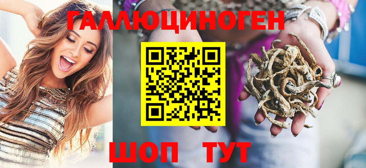 Псилоцибиновые грибы Cubensis Кандалакша